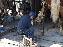 装蹄師